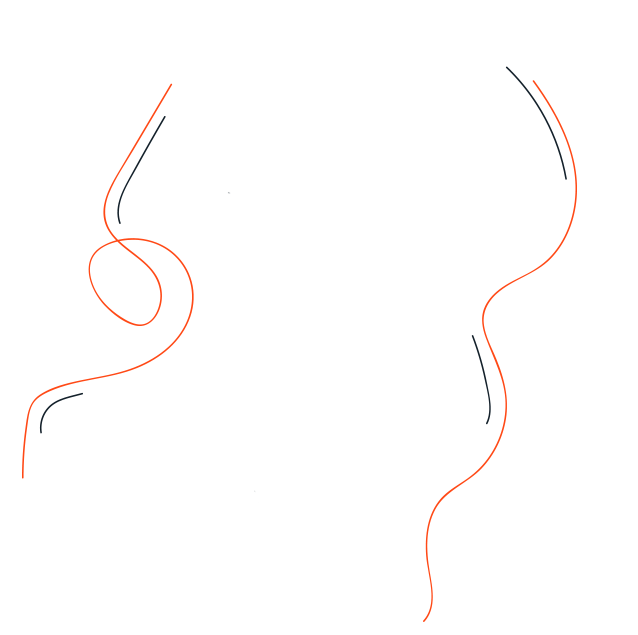 Faces-400x400px-1_1_30 (Demo)